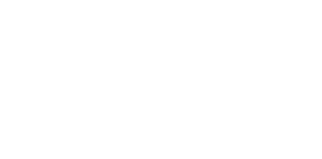 FAAA Logo